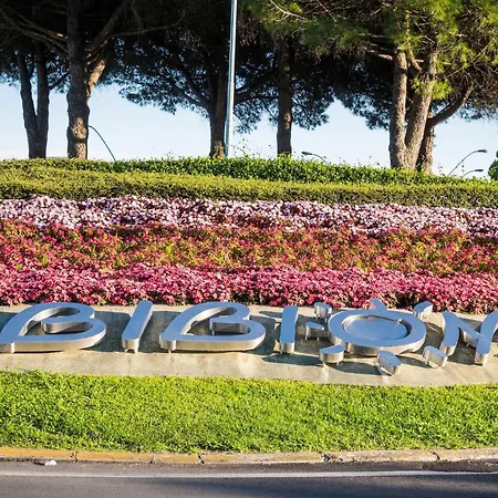 With Swimming Pool And Solarium Apartment Bibione
